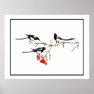 Waterverf Magpie Birds Natuur Art Poster