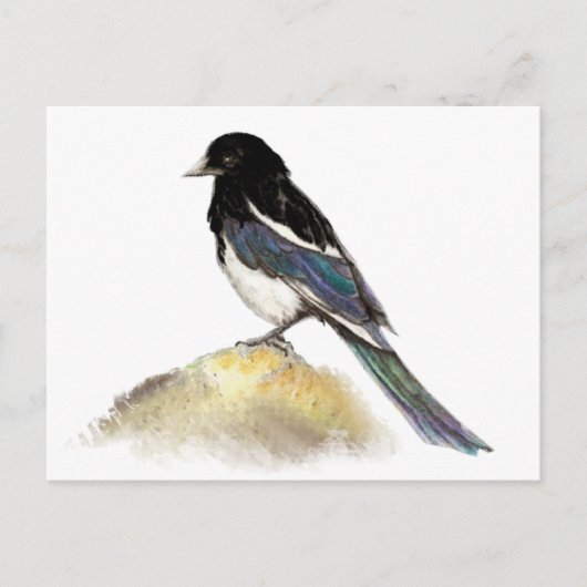 Waterverf Magpie Garden Bird Natuur Briefkaart (Voorkant)