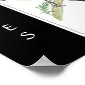 Waterverf Magpie in Bird, Animal Collectie Poster (Hoek)