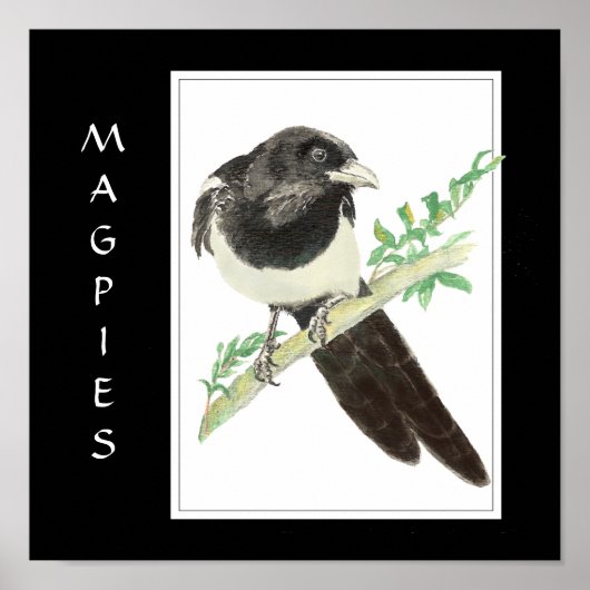 Waterverf Magpie in Bird, Animal Collectie Poster (Voorkant)