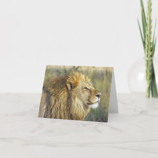 Waterverf Majestic Lion kaart leeg binnen