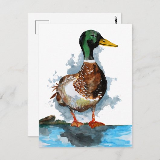 Waterverf Mallard Duck Briefkaart (Voorkant / Achterkant)