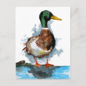Waterverf Mallard Duck Briefkaart (Voorkant)