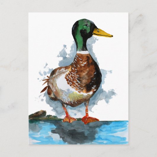 Waterverf Mallard Duck Briefkaart (Voorkant)