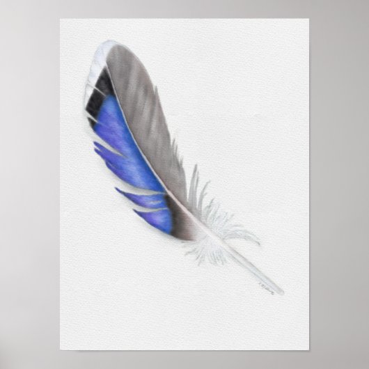 Waterverf Mallard Duck Feather Poster (Voorkant)