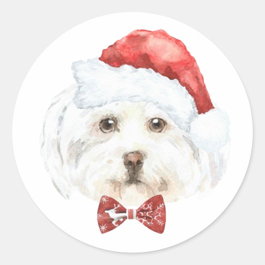 Waterverf Maltezer in Kerstmuts Kerstmis Ronde Sticker (Voorkant)