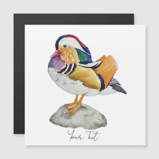 Waterverf Mandarijneend (Voorkant / Achterkant)