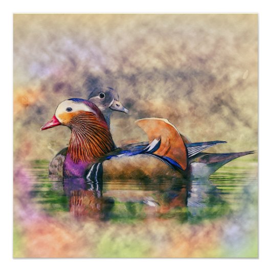 Waterverf Mandarin Ducks Feng Shui Symbol Poster (Voorkant)