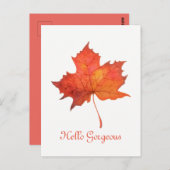 Waterverf Maple Leaf Briefkaart (Voorkant / Achterkant)