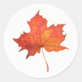 Waterverf Maple Leaf Ronde Sticker (Voorkant)