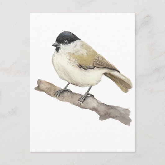 Waterverf Marsh Tit Feestdagenkaart (Voorkant)