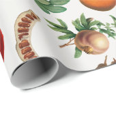 Waterverf mediterraan fruitpatroon cadeaupapier (Rol Hoek)