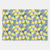 Waterverf Mediterrane Tegel Citruspatroon Citrus Inpakpapier Vel (Voorkant 3)