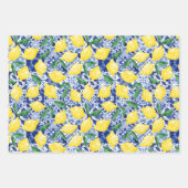 Waterverf Mediterrane Tegel Citruspatroon Citrus Inpakpapier Vel (Voorkant 2)