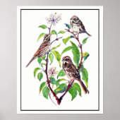 Waterverf Mestvogels op Dogwood Art Poster (Voorkant)
