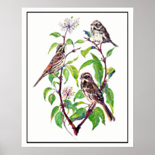 Waterverf Mestvogels op Dogwood Art Poster