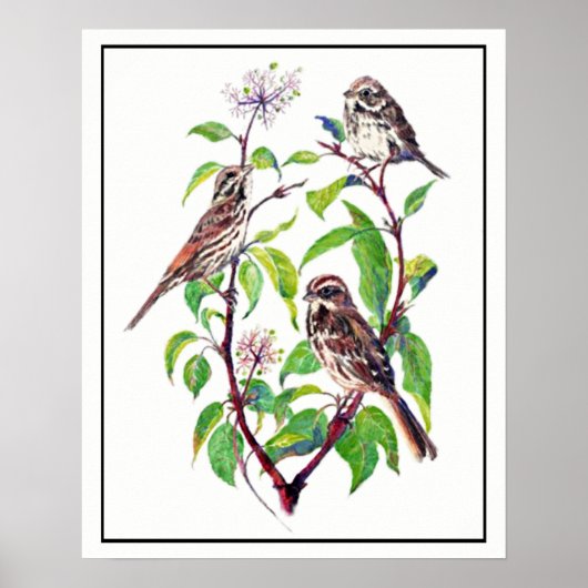 Waterverf Mestvogels op Dogwood Art Poster (Voorkant)