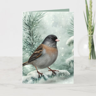 Waterverf met donkerogige Junco Bird Kerstmis Feestdagen Kaart