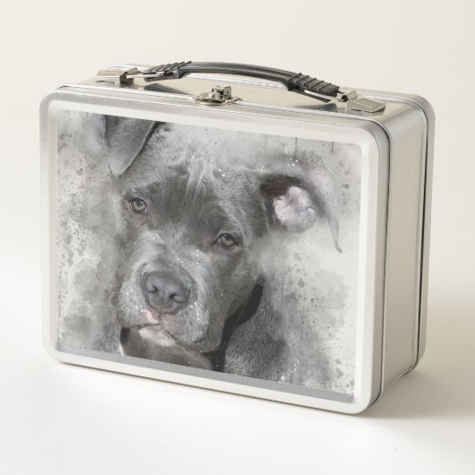 Waterverf met platter-effect Schilting Pit Bull Do (Voorkant)