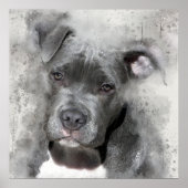 Waterverf met platter-effect Schilting Pit Bull Do Poster (Voorkant)