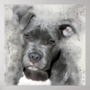 Waterverf met platter-effect Schilting Pit Bull Do Poster
