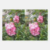 Waterverf met roze Penstemon Flower Floral Poppies Inpakpapier Vel (Voorkant)