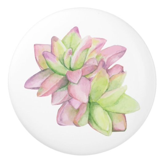 Waterverf met roze punt Succulent Keramische Knop (Voorkant)