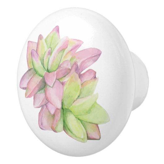 Waterverf met roze punt Succulent Keramische Knop (Rechts)