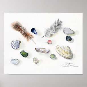 Waterverf met schelpen, kiezelstenen en veren poster