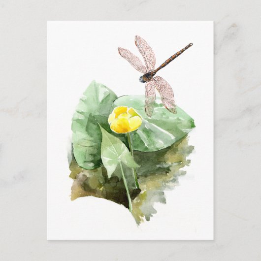 waterverf met waterlust briefkaart (Voorkant)