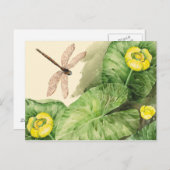 waterverf met waterlust briefkaart (Voorkant / Achterkant)