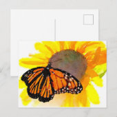 Waterverf Monarch Butterfly en Sunflower Briefkaart (Voorkant / Achterkant)