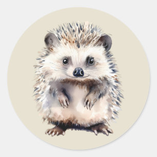 Waterverf Mooie Egel Wilde Dier Kunst Ronde Sticker