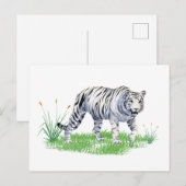 Waterverf Mooie witte tijger Briefkaart (Voorkant / Achterkant)