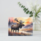 Waterverf Moose bij zonsopgang Briefkaart (Staand voorkant)
