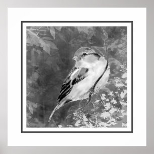 Waterverf Mus Vogel in Bos Poster