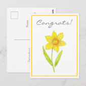 Waterverf Narcis 2 Briefkaart (Voorkant / Achterkant)