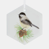 Waterverf Natuur vogelpest Glas Ornament (Achterkant)