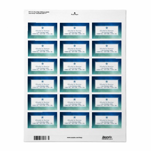 Waterverf Ocean Starfish Beach Wedding Etiket (Full Sheet)