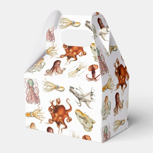 Waterverf octopus cefalopoda zeedieren bedankdoosjes (Achterkant)