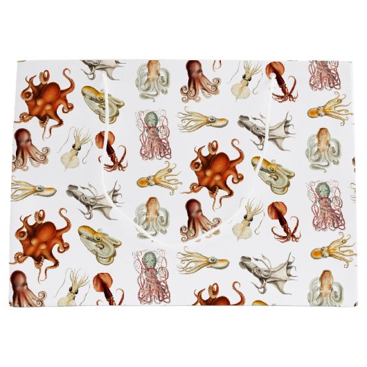 Waterverf octopus cefalopoda zeedieren groot cadeauzakje (Voorkant)
