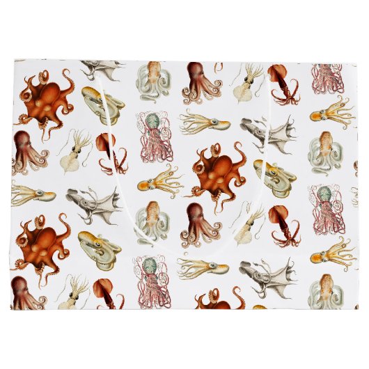 Waterverf octopus cefalopoda zeedieren groot cadeauzakje (Achterkant)