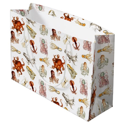 Waterverf octopus cefalopoda zeedieren groot cadeauzakje (Achterkant Gekanteld)