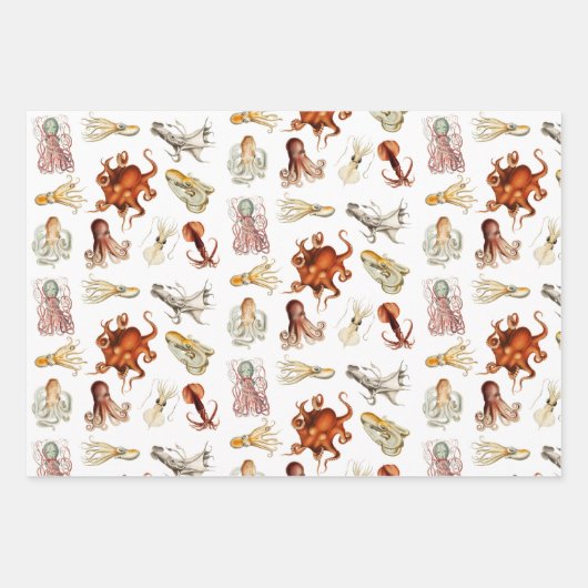 Waterverf octopus cefalopoda zeedieren inpakpapier vel (Voorkant)