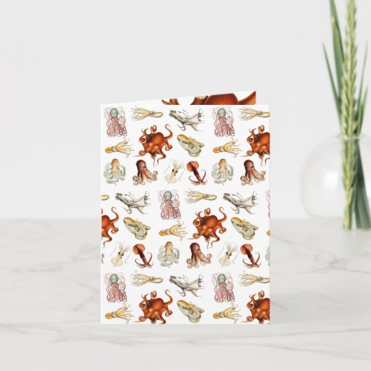 Waterverf octopus cefalopoda zeedieren kaart (Voorkant)