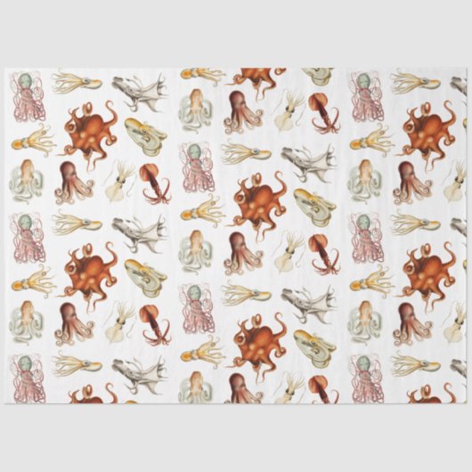 Waterverf octopus cefalopoda zeedieren tissuepapier (Voorkant)