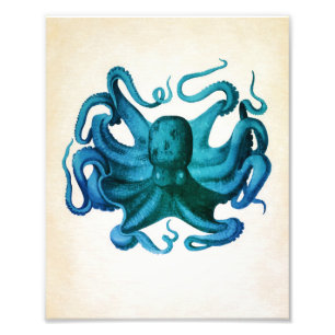 Waterverf Octopus Illustratie Foto Afdruk