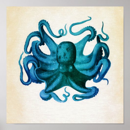 Waterverf Octopus Illustratie Poster (Voorkant)