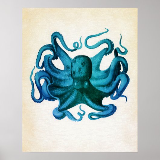 Waterverf Octopus Illustratie Poster (Voorkant)