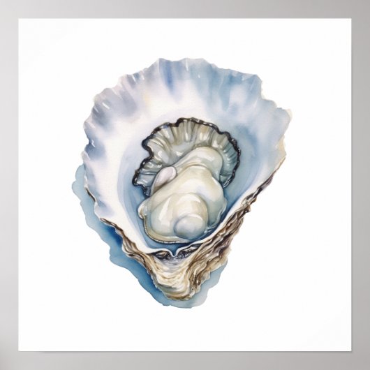 Waterverf Oesterschelp Poster (Voorkant)